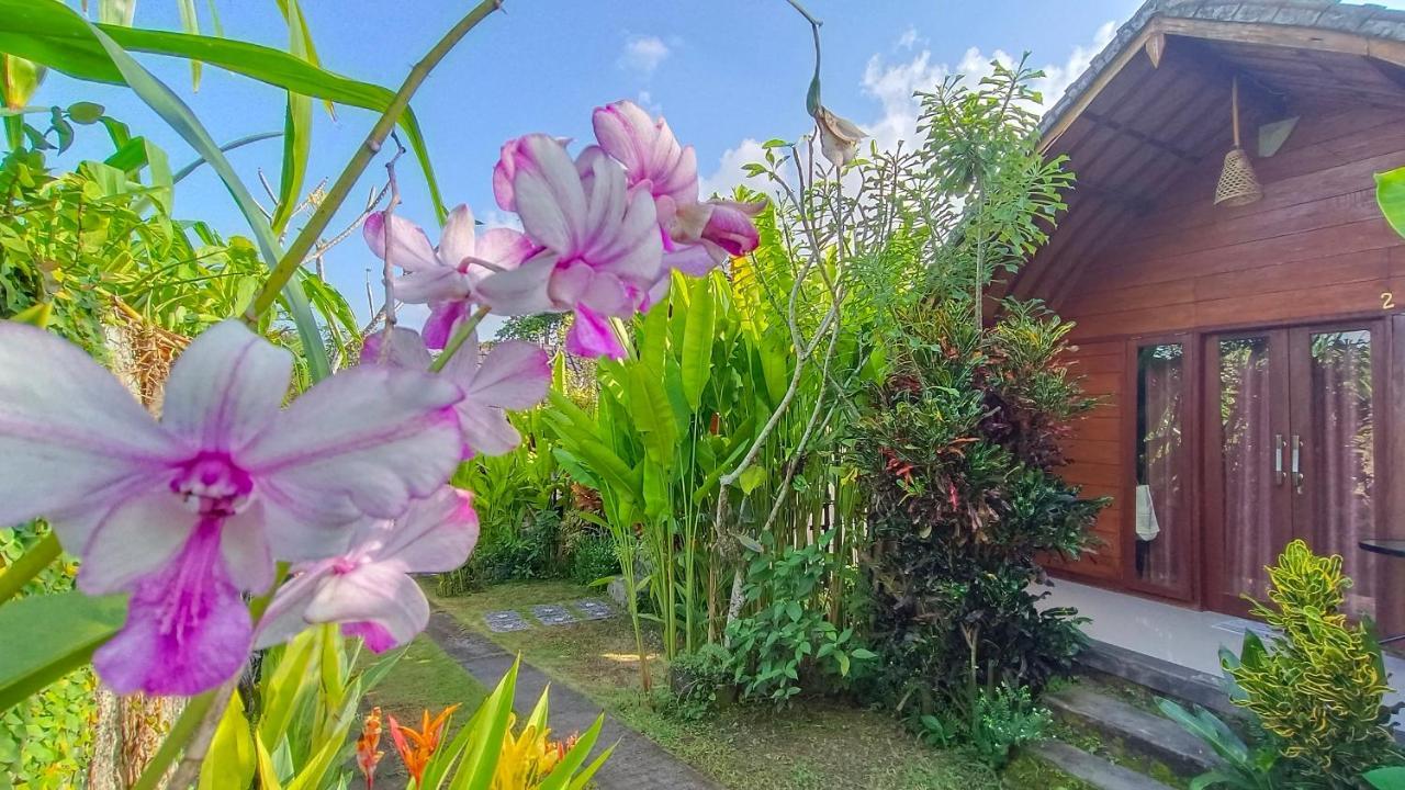 קנגו Morning Bali Bungalow מראה חיצוני תמונה